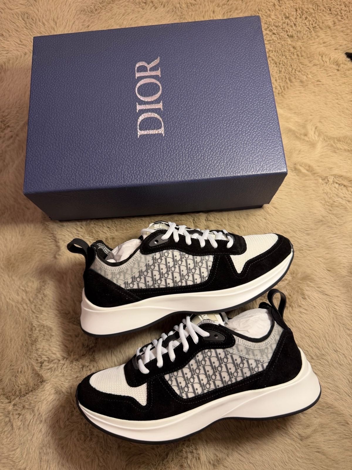 Dior B27 Lage Sneakers