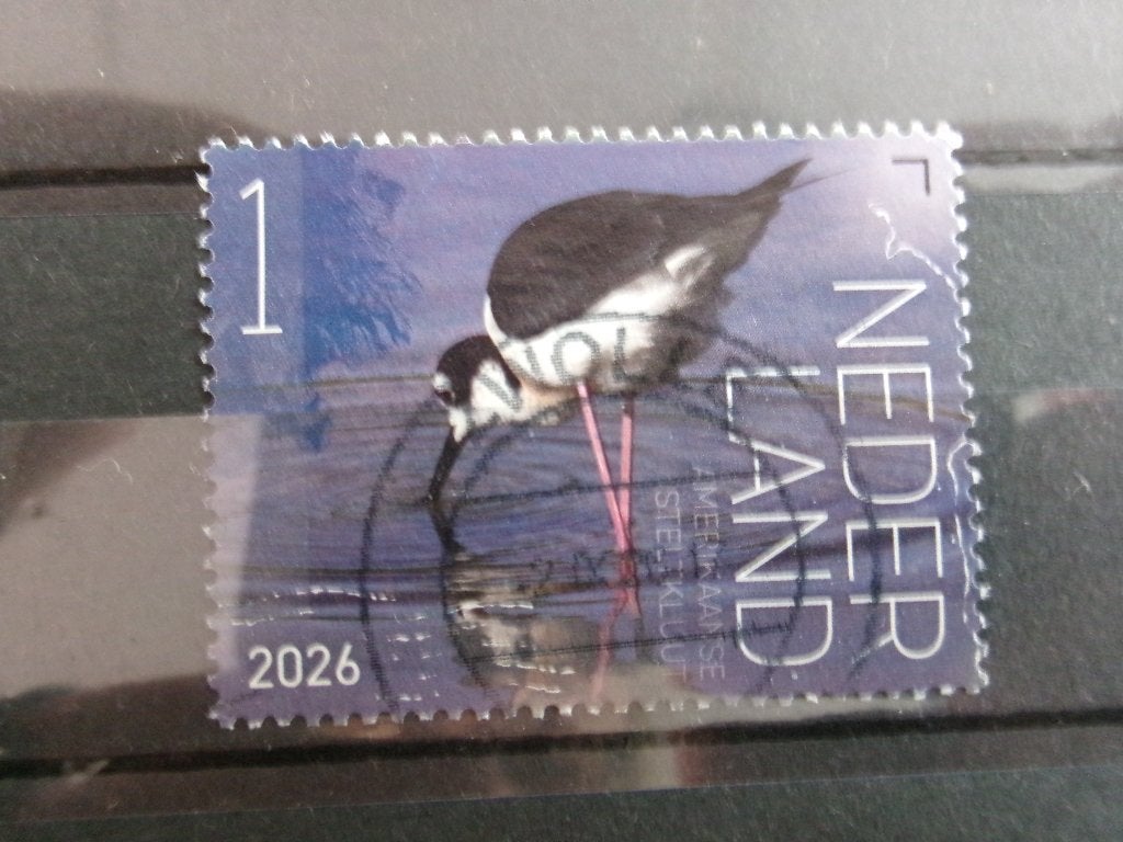 2026 - vogel saba - amerikaanse steltkluiten (798b), Postzegels en Munten, Ophalen of Verzenden, Gestempeld
