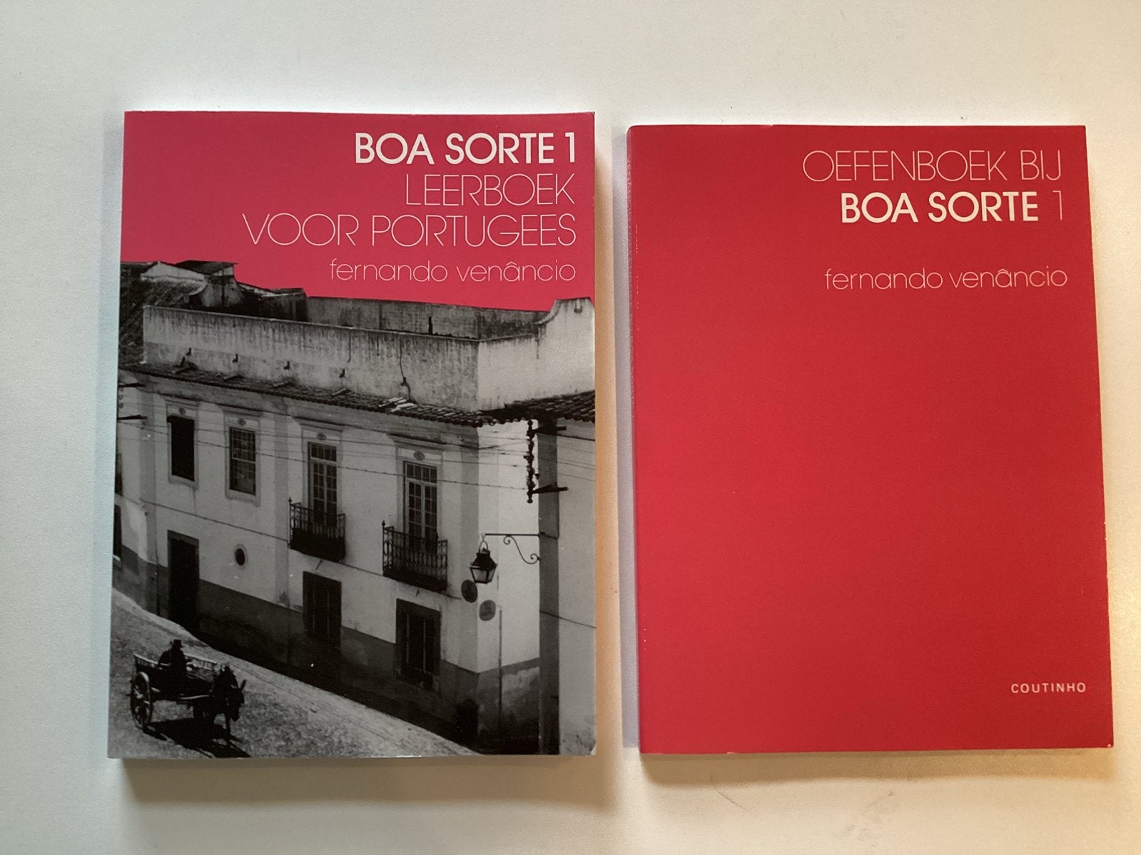 Boa Sorte 1, leerboek en oefenboek Portugees, Boeken, Ophalen of Verzenden, Zo goed als nieuw
