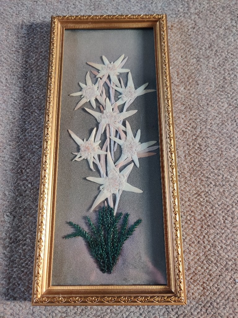 vintage fotolijst gedroogde edelweissbloemen brocante, Verzenden