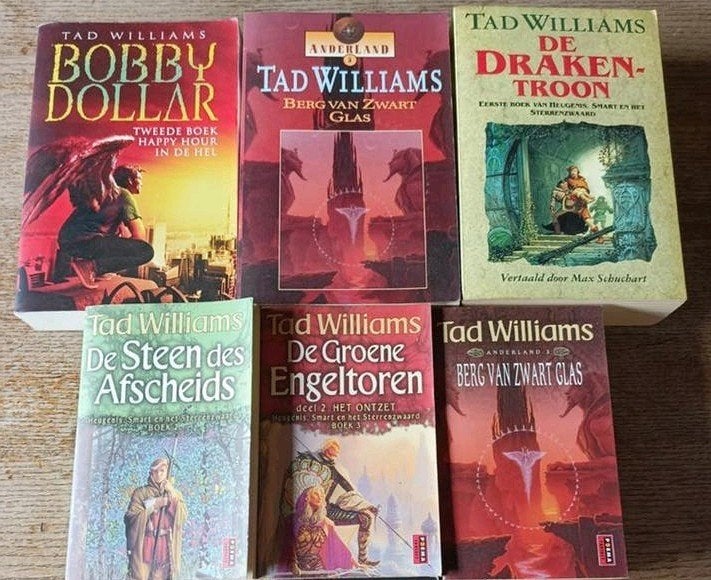 Tad Williams Boekenpakket - Fantasy en meer, Boeken, Fantasy, Ophalen of Verzenden
