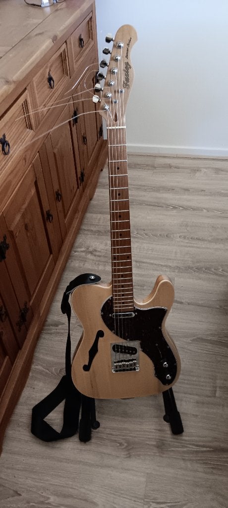 ( Alles voor 100 Euro, gitaar alleen voor 80 ), Muziek en Instrumenten, Snaarinstrumenten | Gitaren | Elektrisch, Hollow body