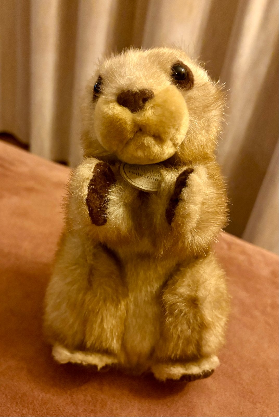 Marmot Ravensden Suma Collection Knuffel 23 cm, Overige merken, Overige typen, Ophalen of Verzenden, Middelgroot (20 tot 80 cm)