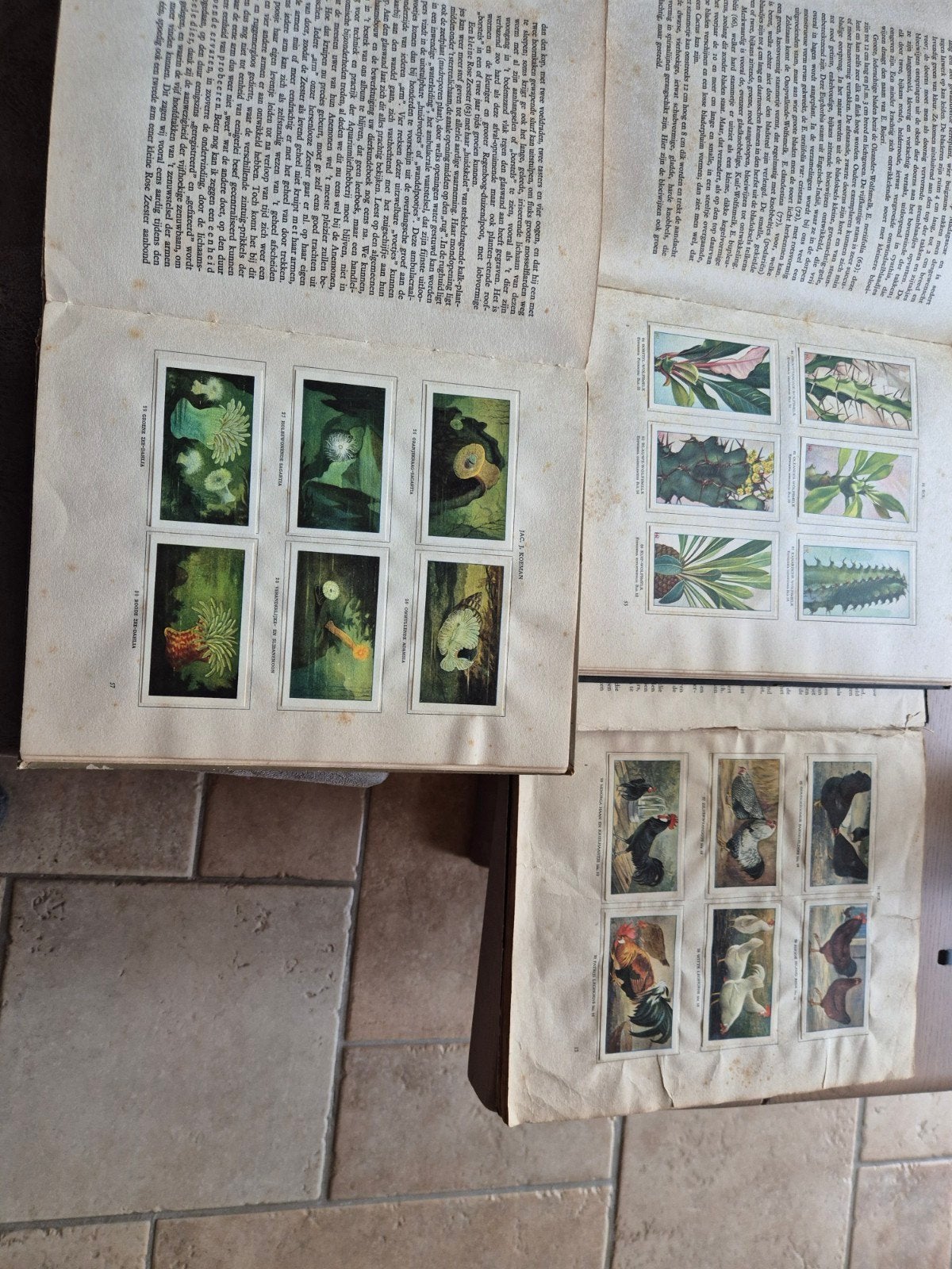 3x verkade plaatjes albums, Ophalen of Verzenden, Gelezen