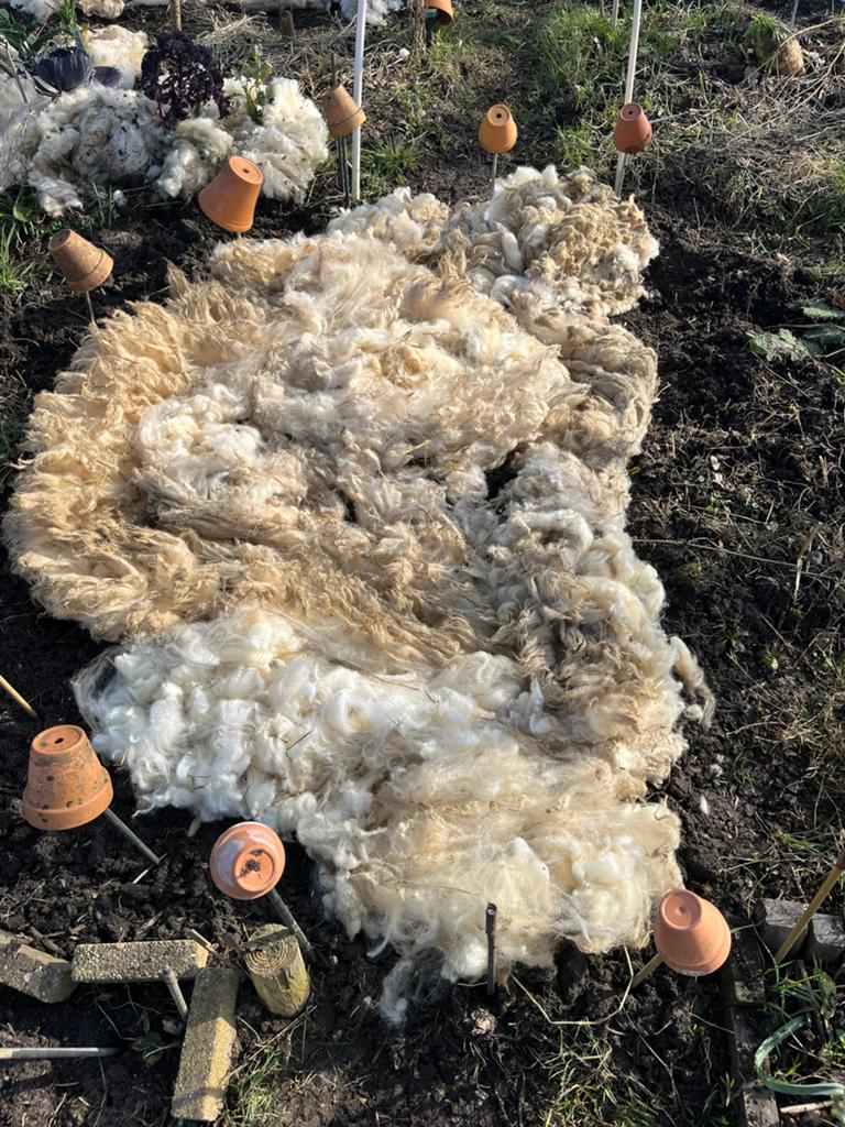 Schapenwol voor moestuin: vocht, voeding, onkruid, slakken, Ophalen, Overige typen