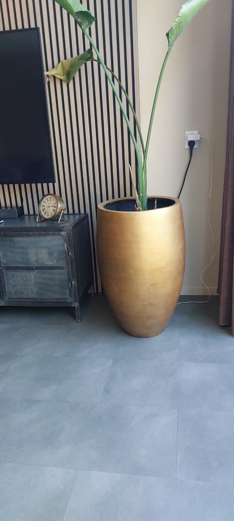 Grote goudkleurige plantenpot, Overige materialen, Gebruikt, Rond, Binnen