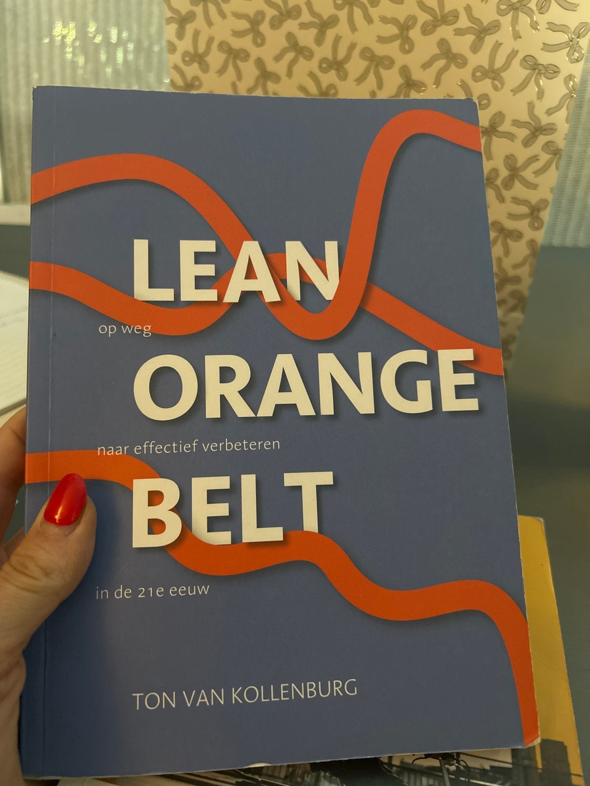 Lean Orange Belt: Op weg naar effectief verbeteren, Verzenden, Gamma, Zo goed als nieuw, HBO