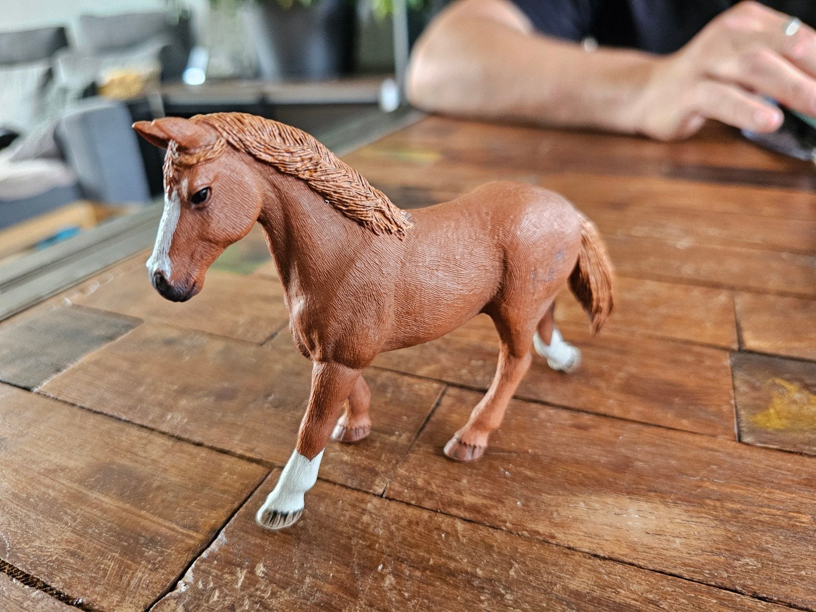 Schleich Morgan Horse merrie (2017), Ophalen of Verzenden, Zo goed als nieuw