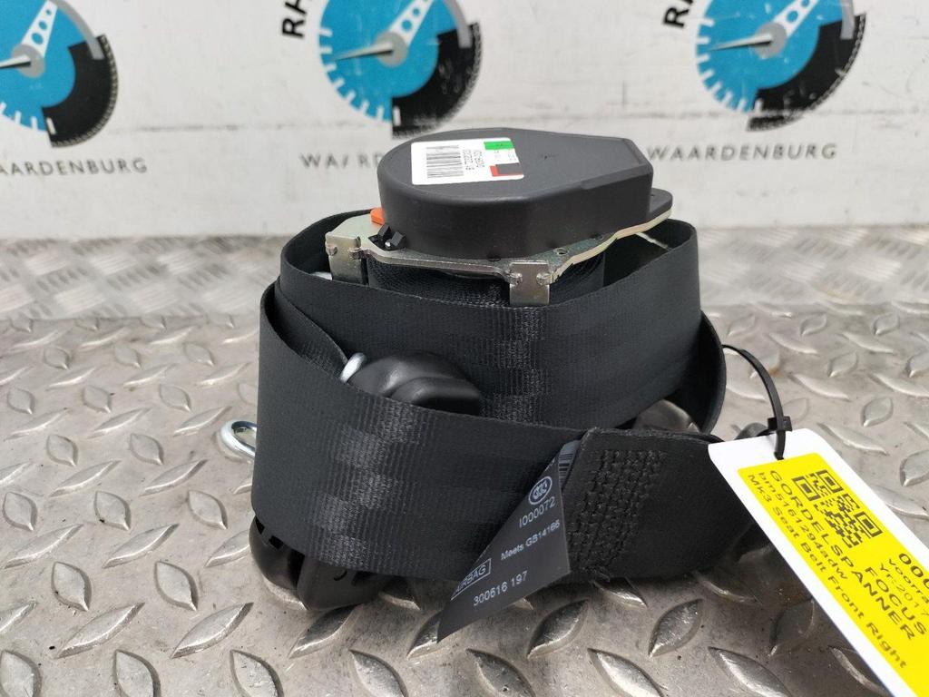 FORD FOCUS GORDELSPANNER 2017, Ophalen of Verzenden, Gebruikt, Stiba lid