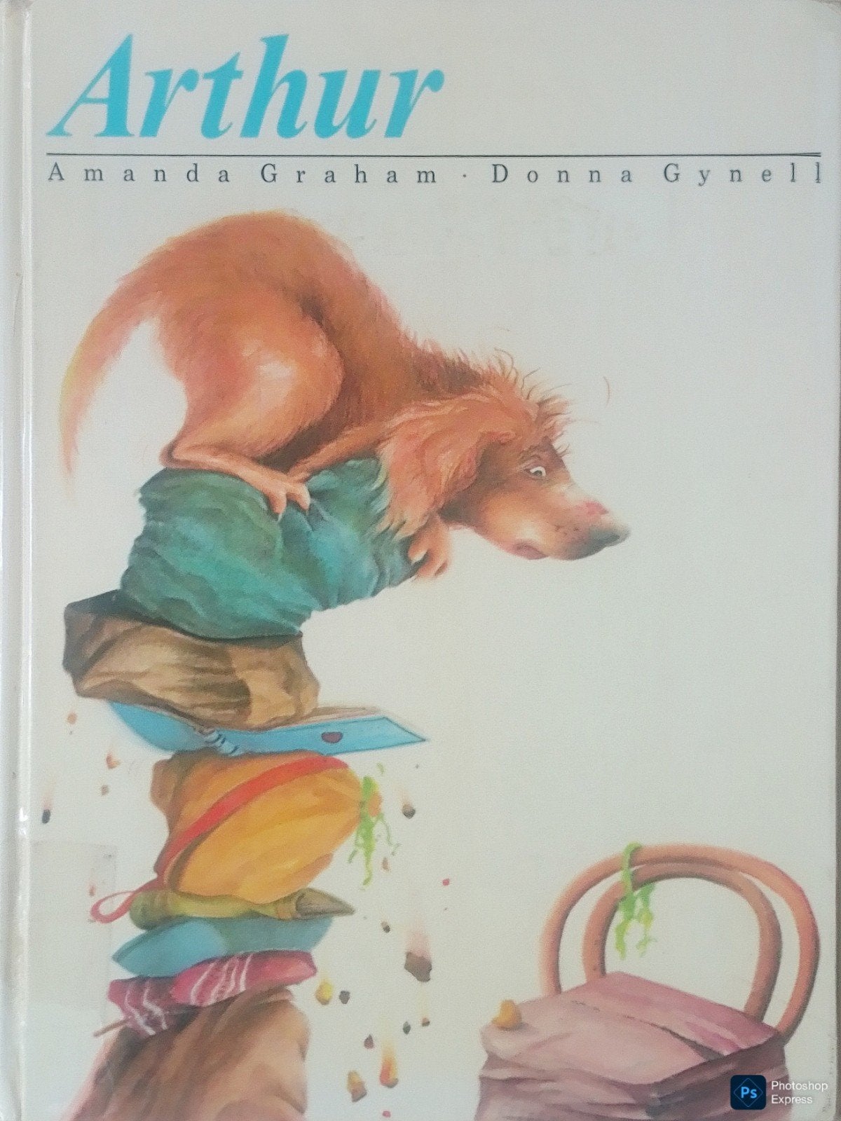 Arthur, Gelezen, 3 tot 4 jaar, Ophalen of Verzenden, Amanda Graham • Donna Gynell.