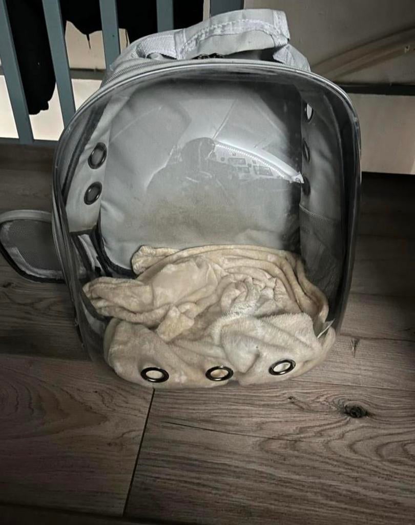 Honden/katten draag tas, Dieren en Toebehoren, Ophalen of Verzenden, Zo goed als nieuw