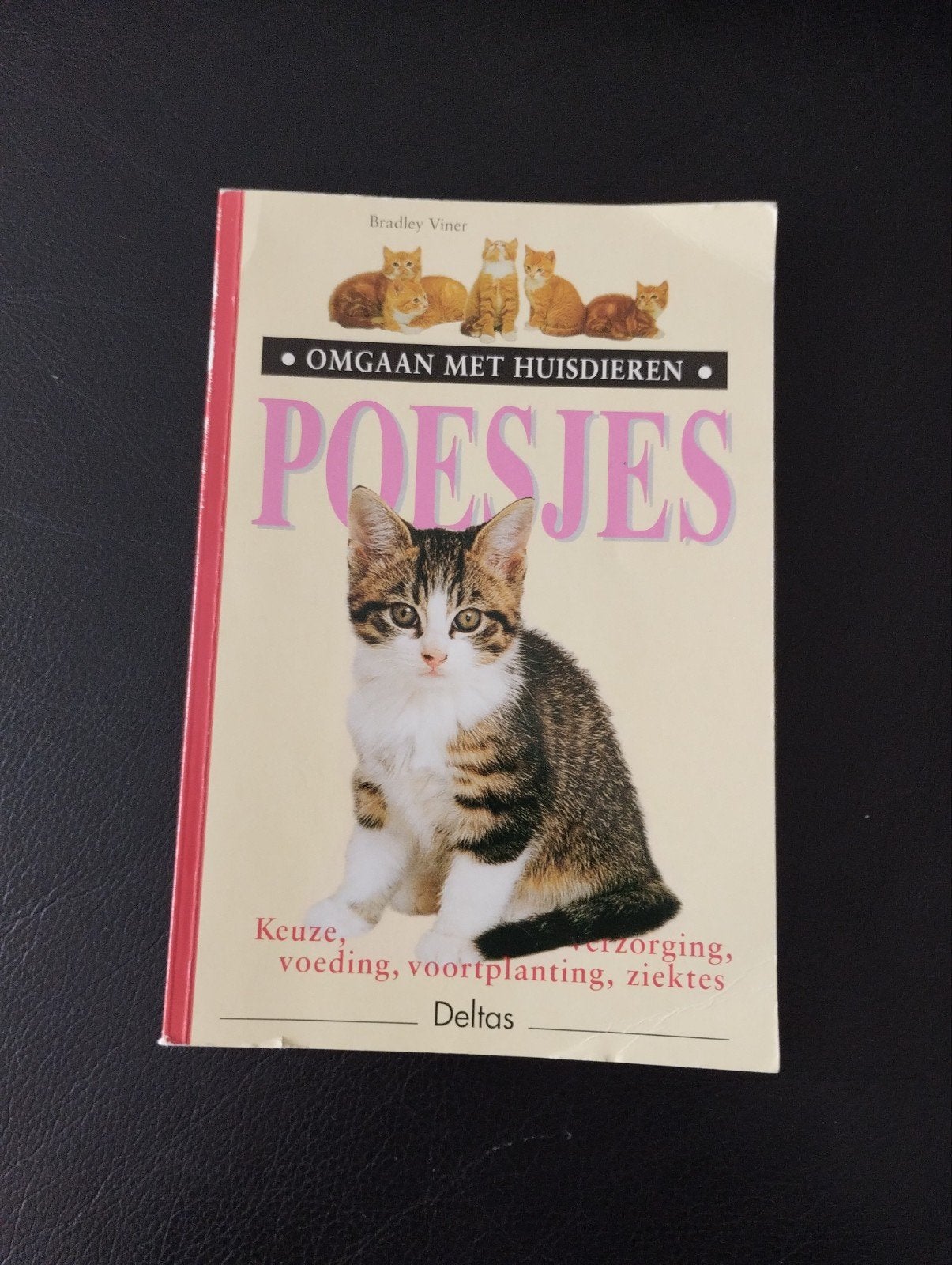 Omgaan met Huisdieren: Poesjes - Alles over katten, Boeken, Dieren en Huisdieren, Ophalen of Verzenden, Gelezen, Katten, Bradley Viner