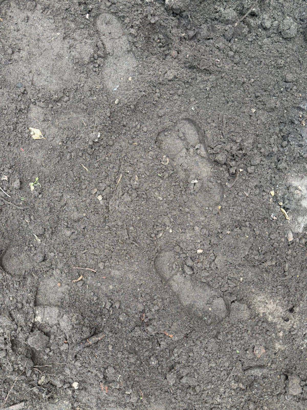 Foto 3 van GRATIS tuinaarde af te halen