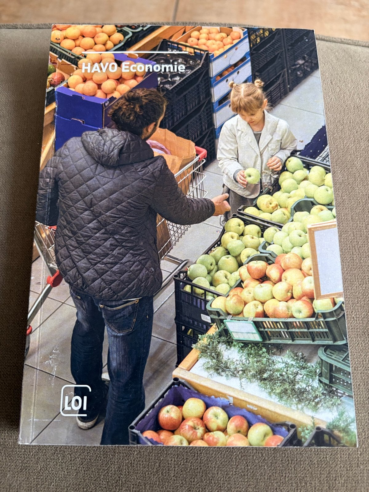 HAVO Economie LOI Studieboek - Zo goed als nieuw, Verzenden, Gamma, Zo goed als nieuw, Overige niveaus