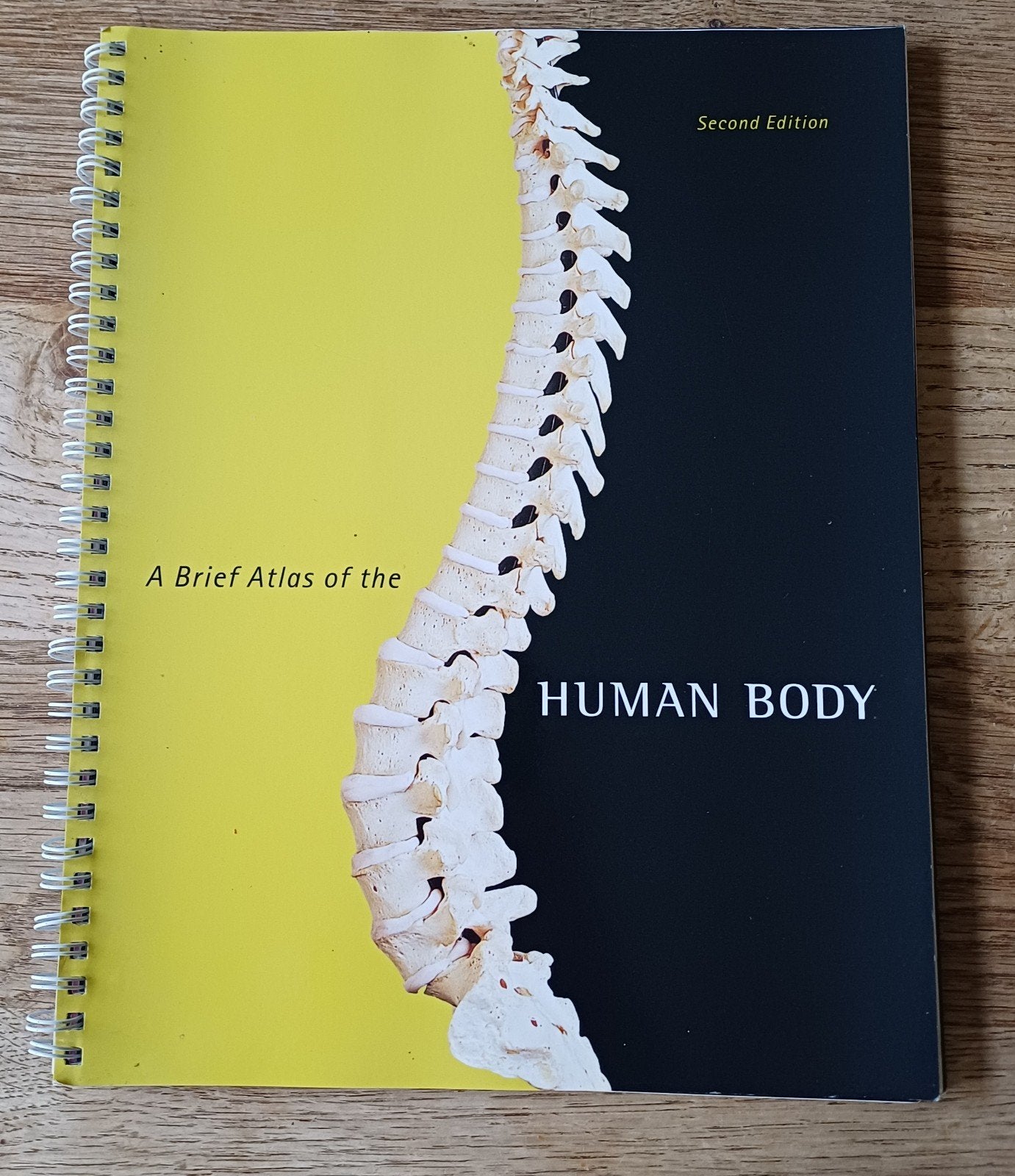 A brief atlas of the human body, Boeken, Studieboeken en Cursussen, Gelezen, Elaine N. Marieb, Beta, HBO