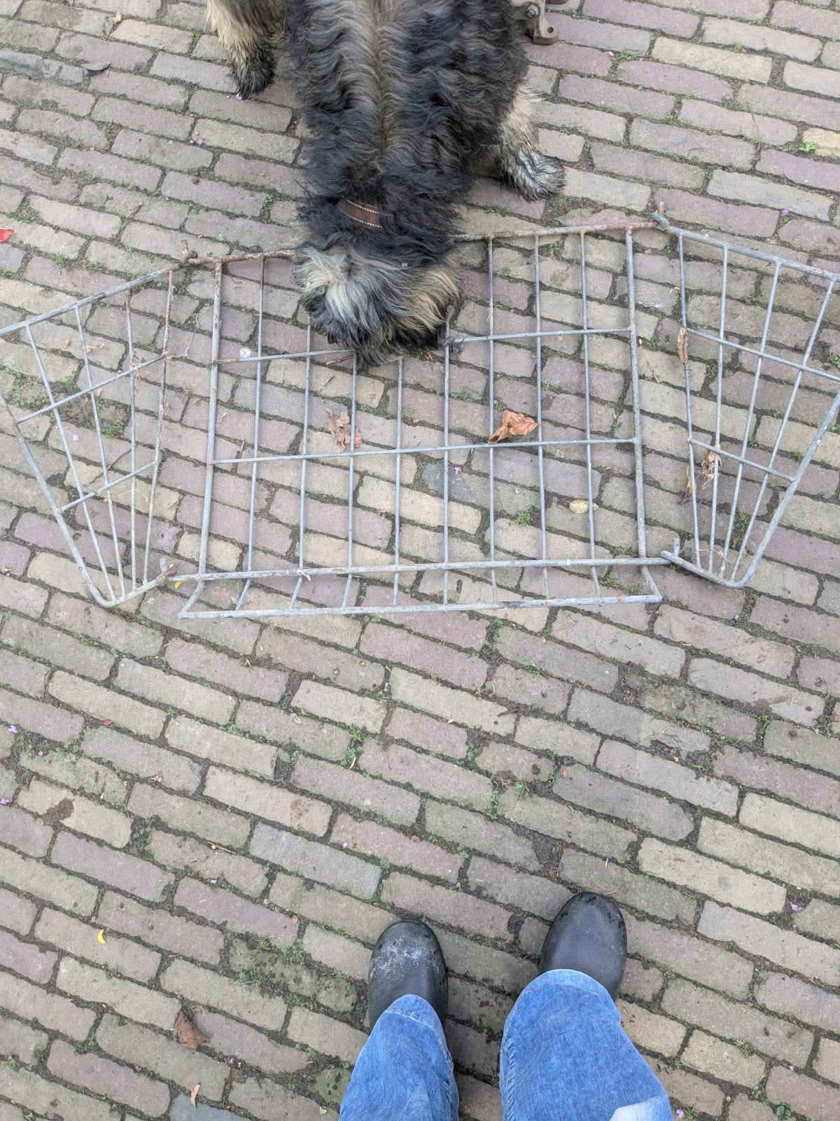 ruif, Ophalen, Gebruikt