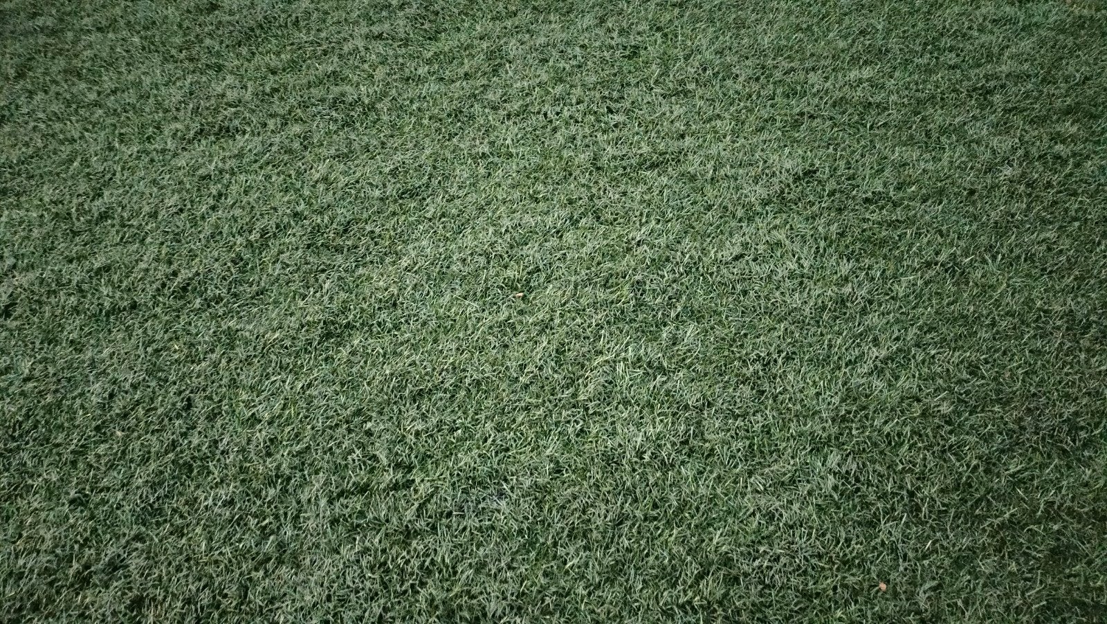 Kunstgras 25m2, Ophalen, Gebruikt, 20 m² of meer, Kunstgras