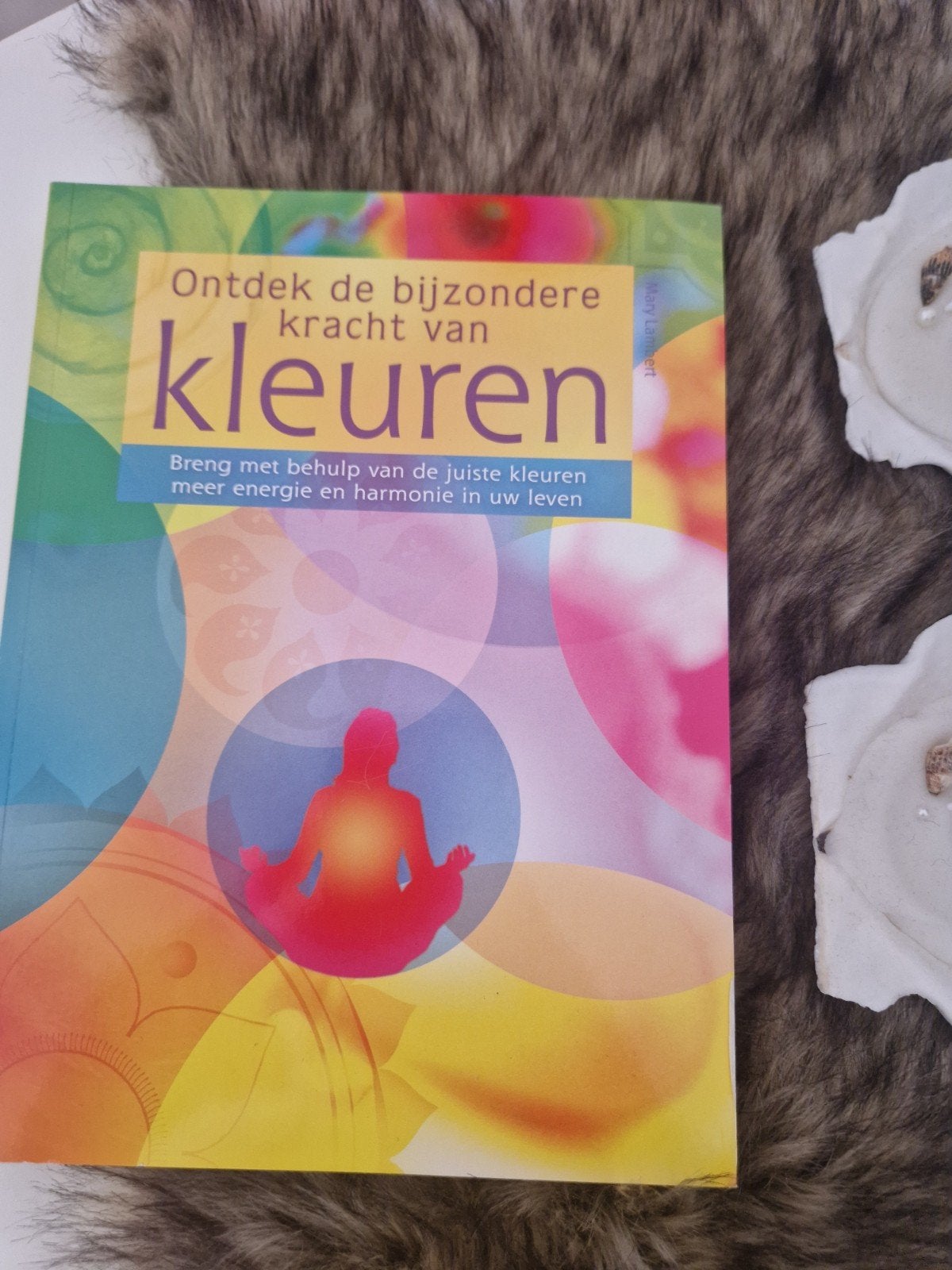 Ontdek de bijzondere kracht van kleuren - Mary Lambert, Ophalen of Verzenden, Zo goed als nieuw, Instructieboek