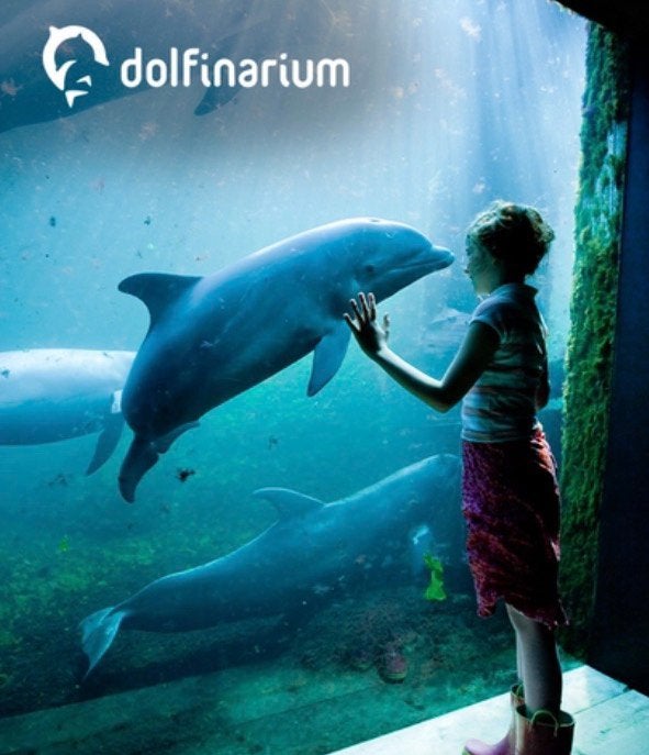 Dolfinarium kaartjes, Drie personen of meer, Ticket of Toegangskaart
