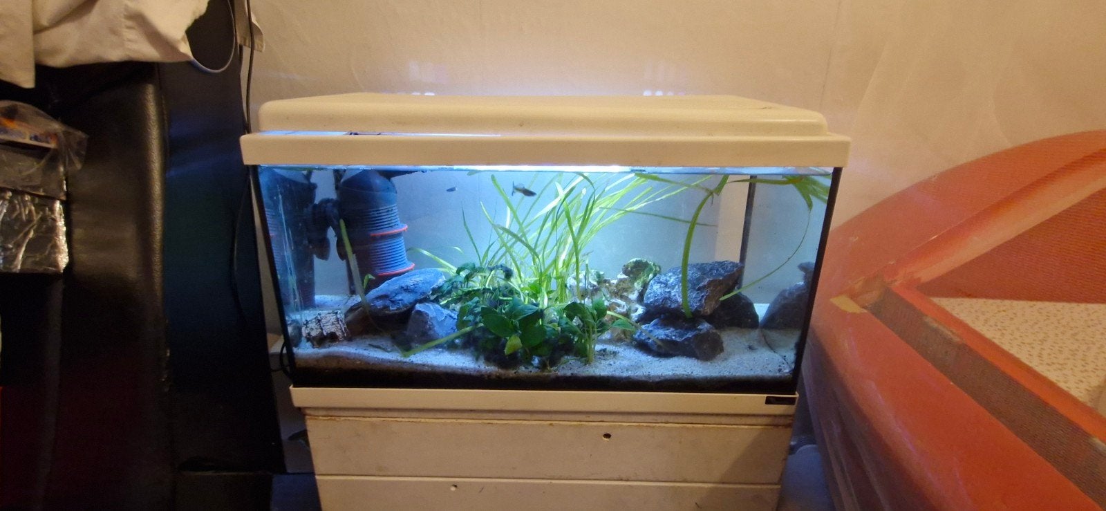 aquarium het is een mooi aquarium afmetingen zijn 60x30x30cm, Ophalen, Aquatlantis, Inclusief vissen, Gevuld zoetwateraquarium