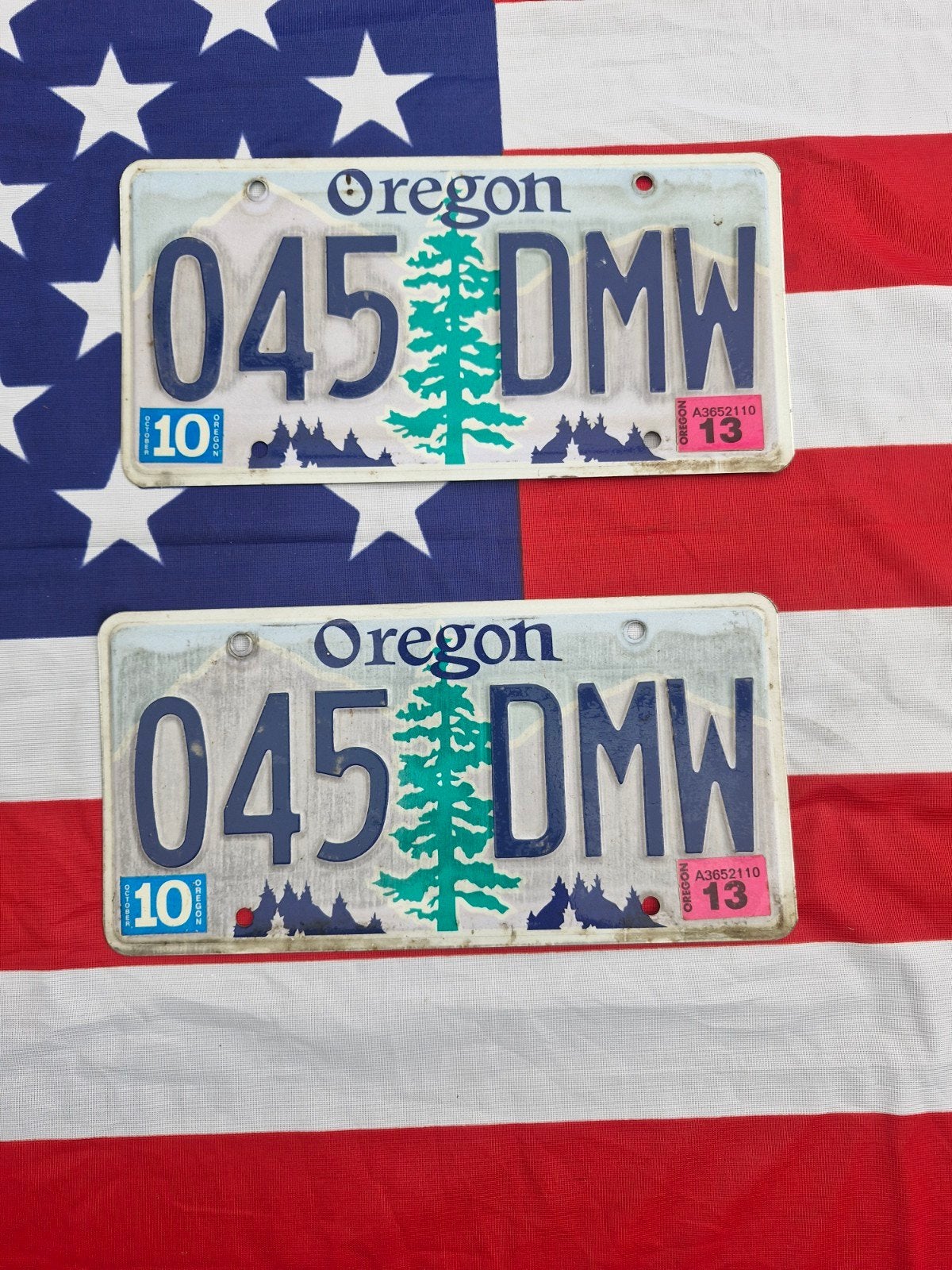 Kentekenplaat Paar Oregon USA 2 nummerborden nummerplaten, Verzenden, Gebruikt, Auto's