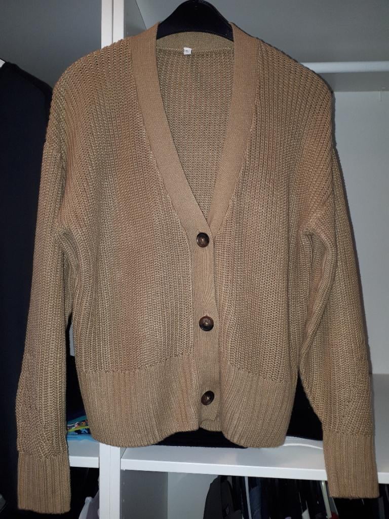 HEMA vest bruin M/L, Ophalen of Verzenden, Zo goed als nieuw, Maat 42/44 (L), Bruin