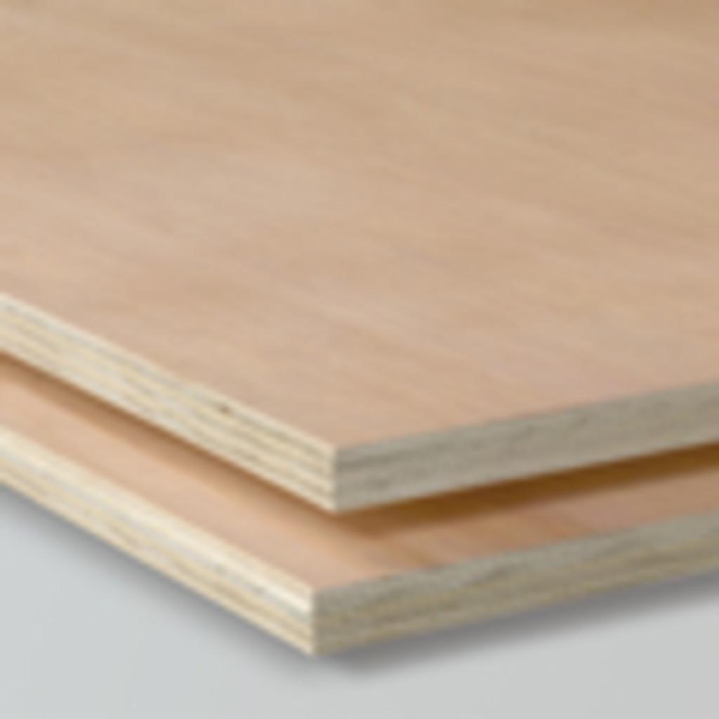 Hardwood multiplex interieur 244x122cm, Doe-het-zelf en Verbouw, Platen en Panelen, Ophalen, Nieuw, Multiplex, Minder dan 20 mm