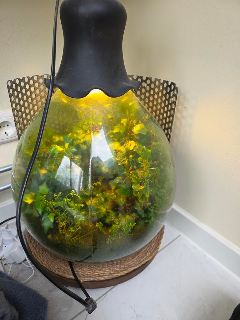Flessentuin met planten, Ophalen of Verzenden, Zo goed als nieuw, Minder dan 50 cm