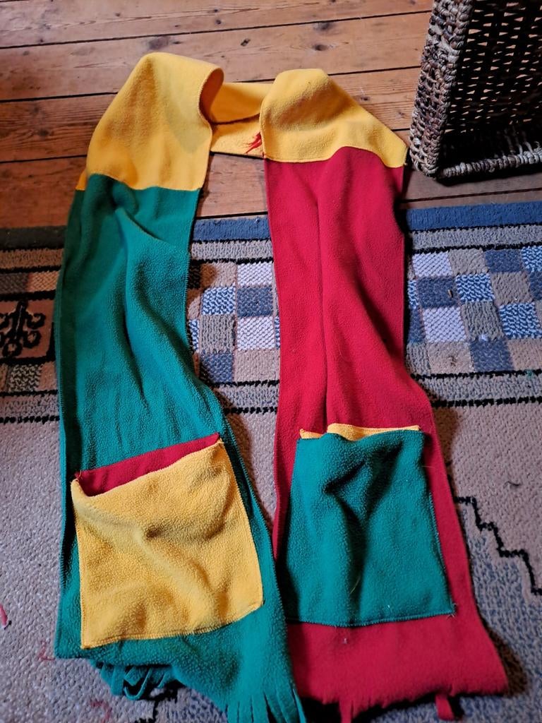 Sjaal carnaval, Ophalen of Verzenden, Zo goed als nieuw, Maat 46/48 (XL) of groter, Carnaval