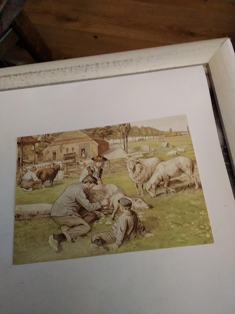C. JETSES. WANDPLATEN, Ophalen of Verzenden, Sterren en Beroemdheden