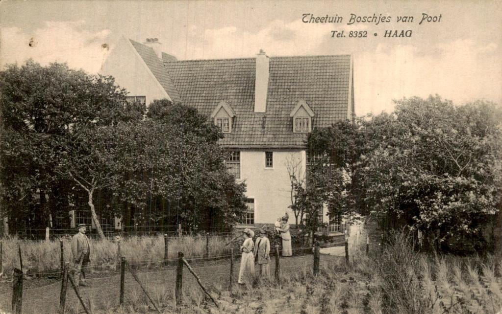 Theetuin Boschjes van Poot, Ophalen of Verzenden, Voor 1920, Ongelopen, Zuid-Holland