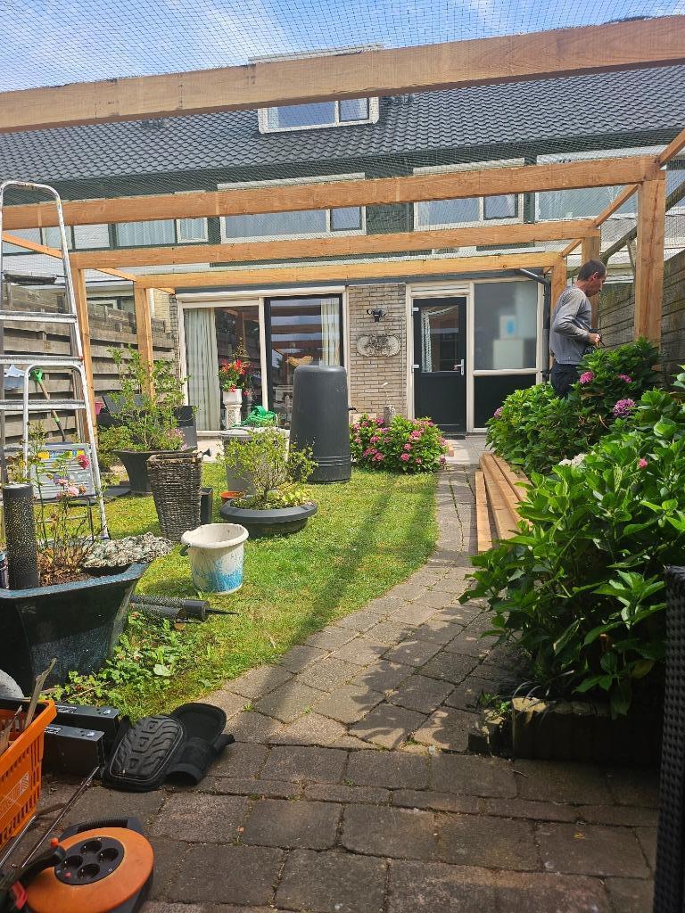 Katten beschermnet voor hele tuin, Kater