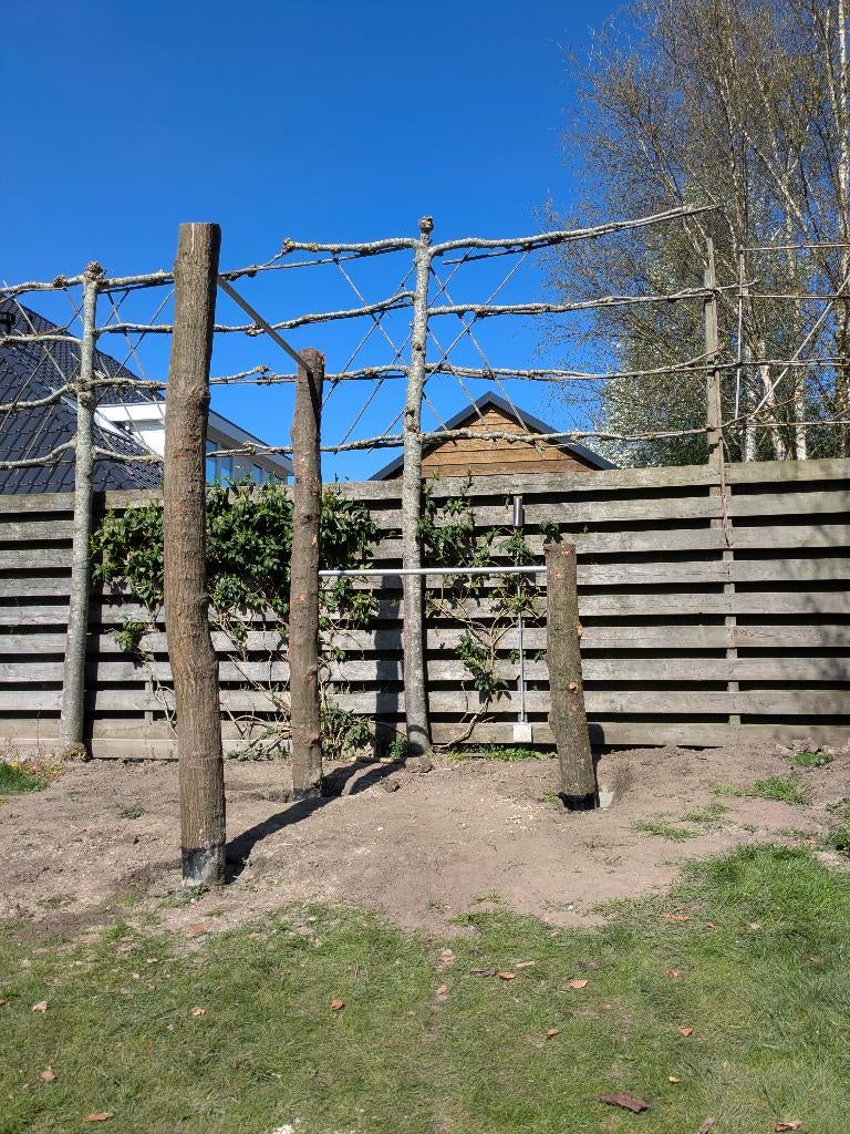 Outdoor fitness met boomstammen - uniek en massief, Ophalen, Nieuw