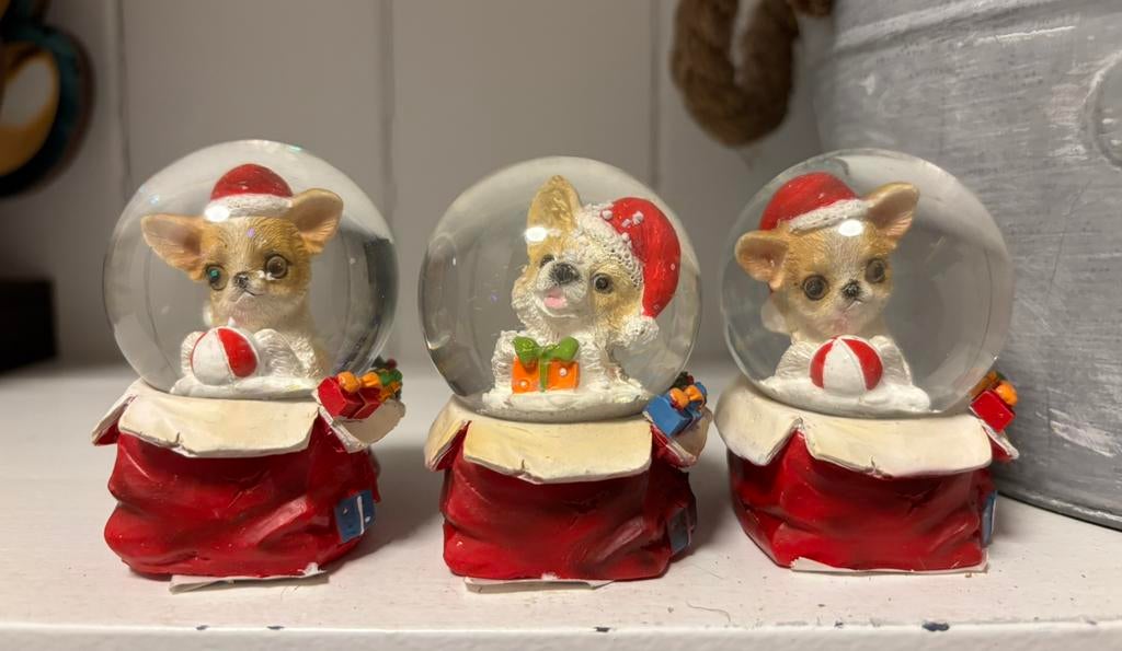 Chihuahua sneeuwbollen, Ophalen of Verzenden, Nieuw