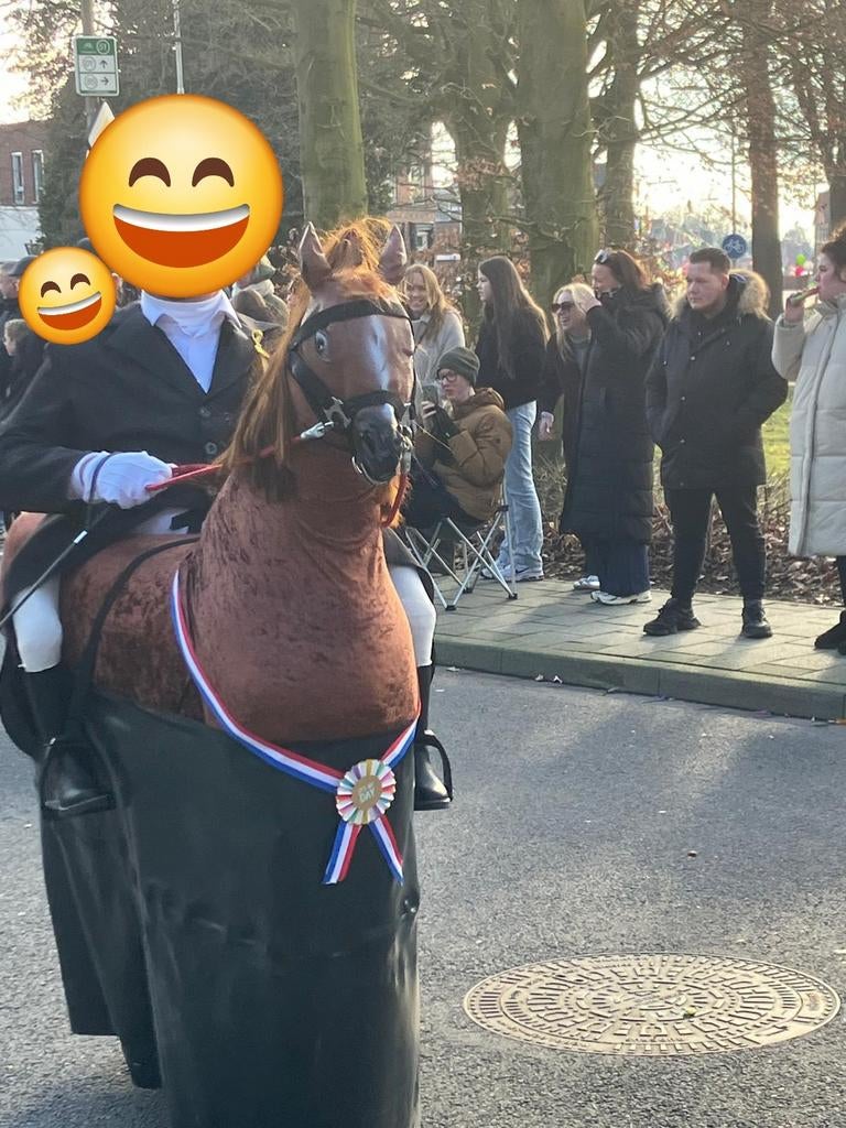 Carnavalskostuums te paard, Ophalen of Verzenden, Zo goed als nieuw, Kostuum, Carnaval