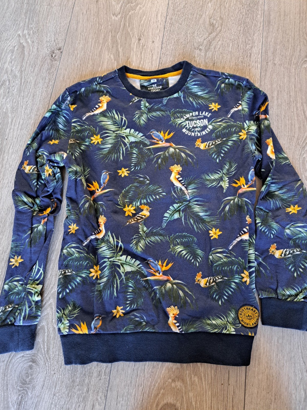 WE trui maat 170 / 176, Kinderen en Baby's, Kinderkleding | Maat 170, Ophalen of Verzenden, Zo goed als nieuw, Jongen, Trui of Vest