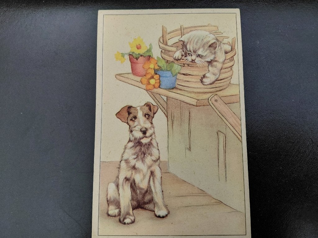 Foxterriër en poes, samen op de foto, gelopen,, Verzamelen, Ansichtkaarten | Dieren, Gelopen, 1960 tot 1980, Hond of Kat, Verzenden
