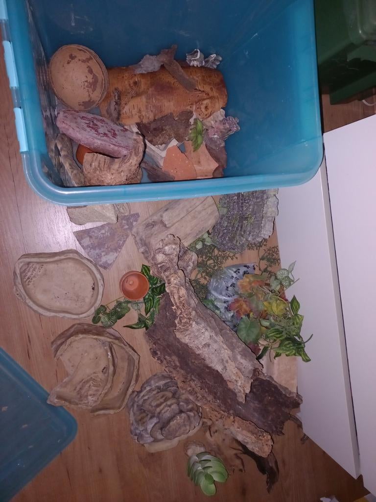 2 dozen terrarium toebehoren, Dieren en Toebehoren, Reptielen en Amfibieën | Toebehoren, Ophalen, Gebruikt, Tak, Plant, Rots of Steen