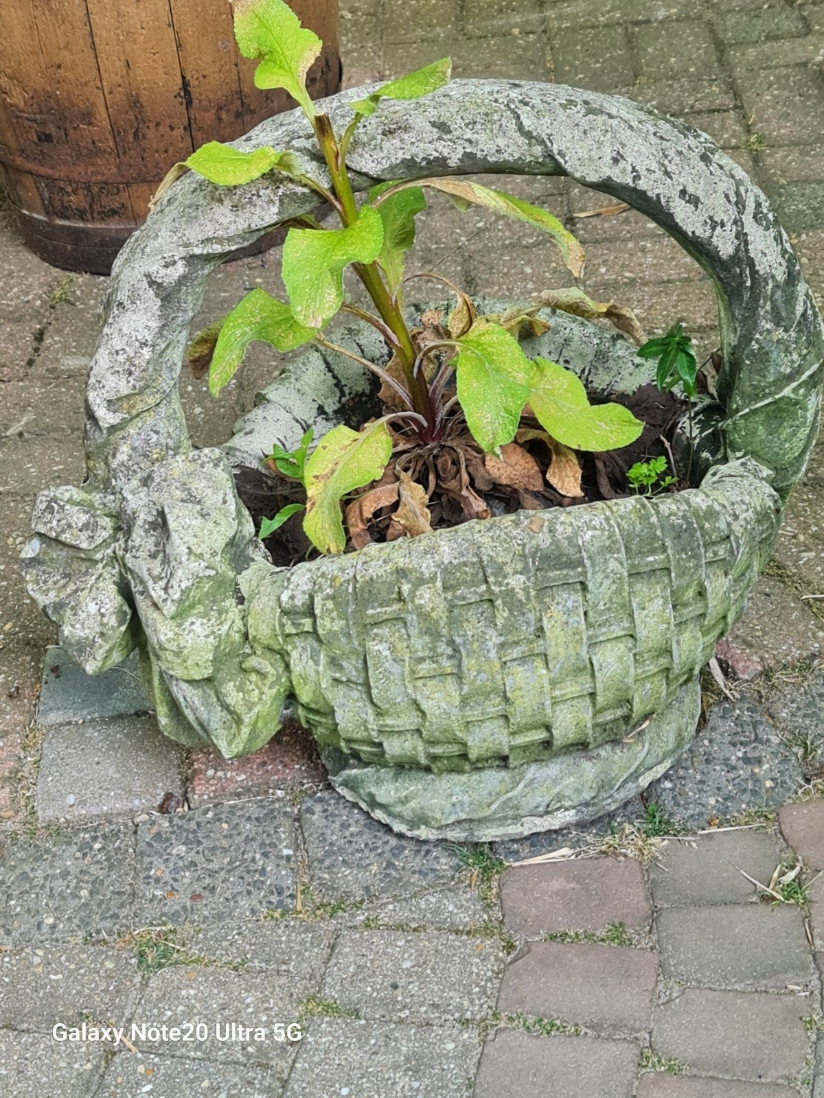 Betonnen biedemijer planten pot, Ophalen, Rond