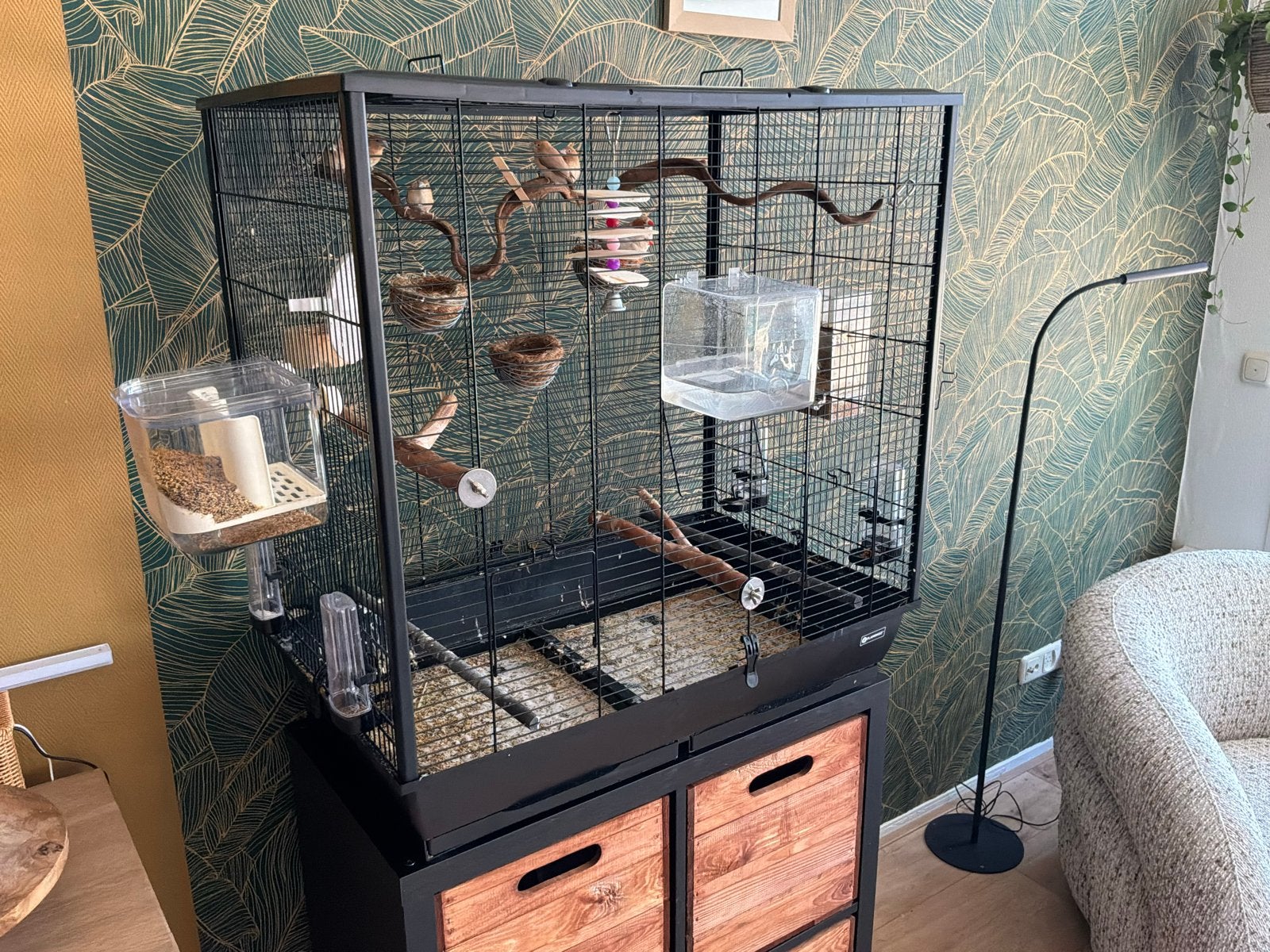Grote kooi met vogels en toebehoren., Ophalen