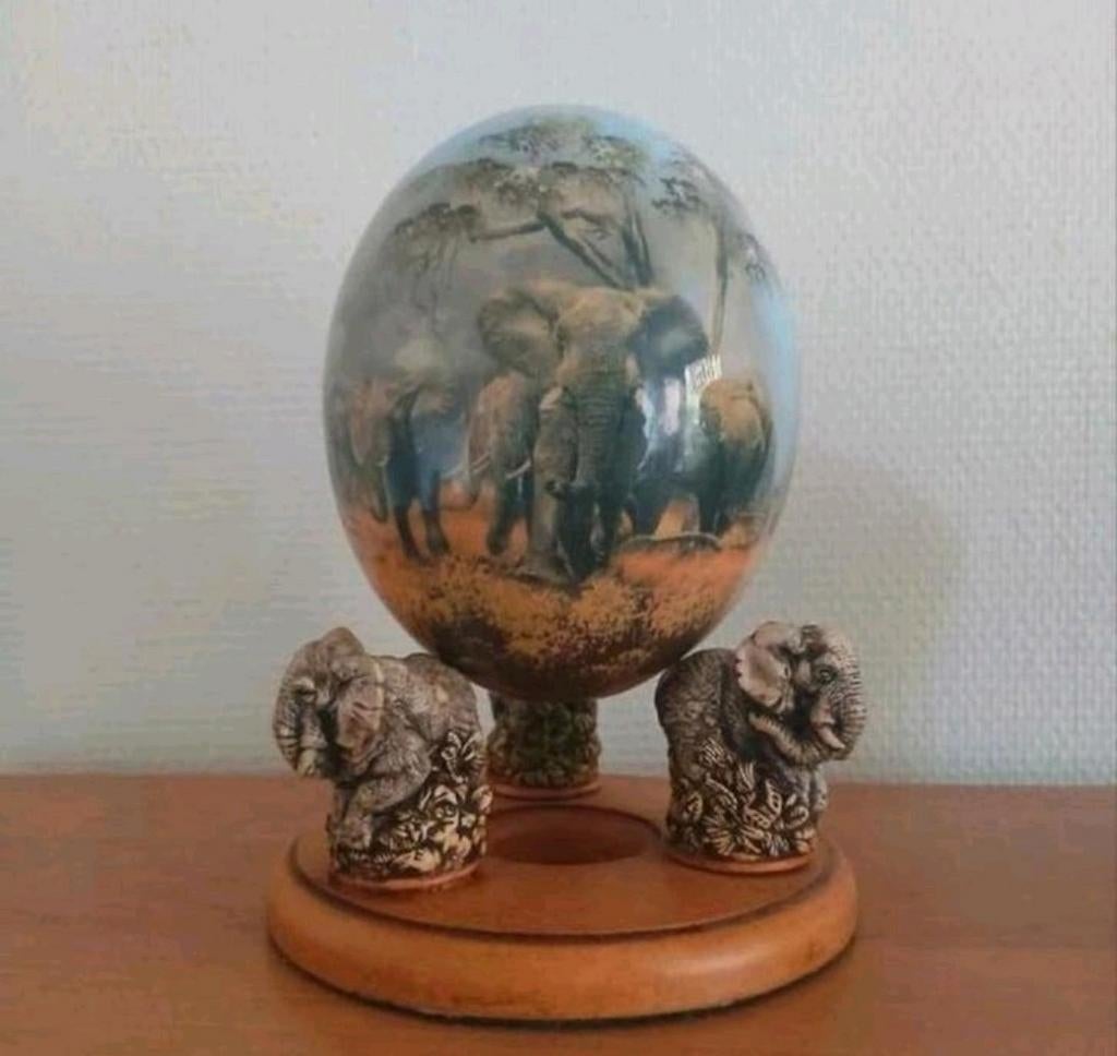 Struisvogel  , struis vogel ei big five afrika  , afrikaanse, Ophalen of Verzenden