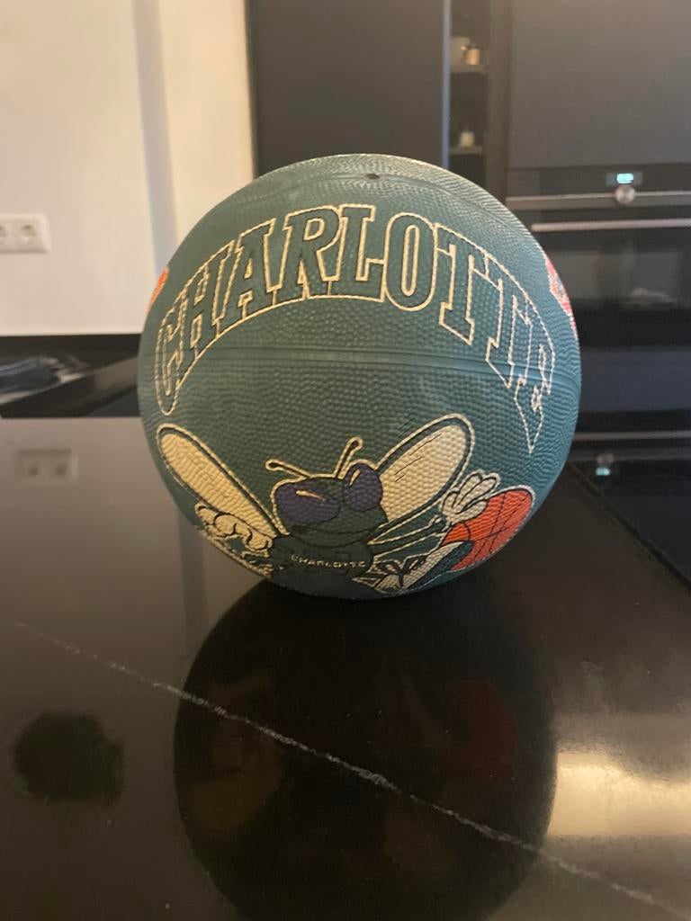 Vintage Spalding Charlotte Hornets Basketbal Jaren '90 - Nie, Sport en Fitness, Basketbal, Ophalen of Verzenden, Nieuw, Bal