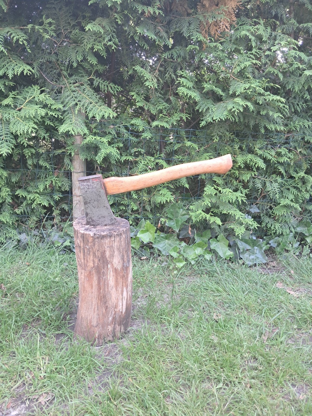 Degelijke Houthakkersbijl met Houten Steel, Verzenden, Gebruikt, Overige typen, Overige merken