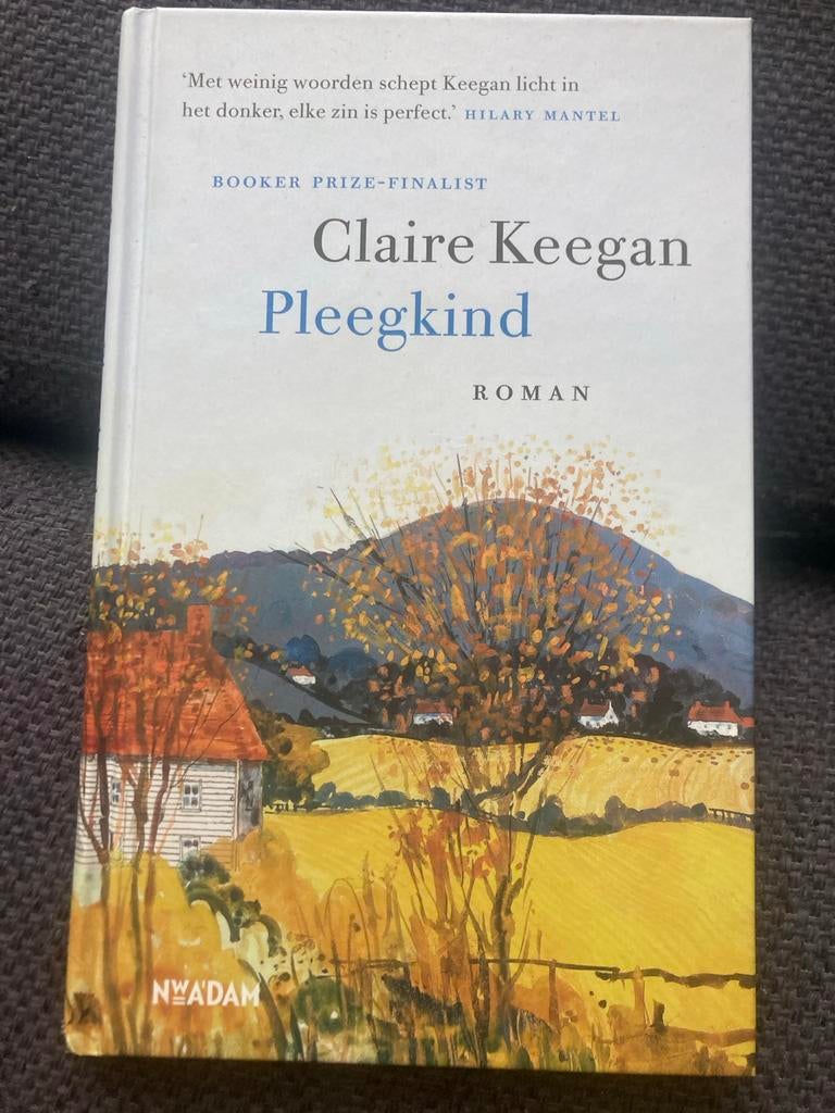 Pleegkind door Claire Keegan, Boeken, Ophalen of Verzenden, Zo goed als nieuw, Europa overig