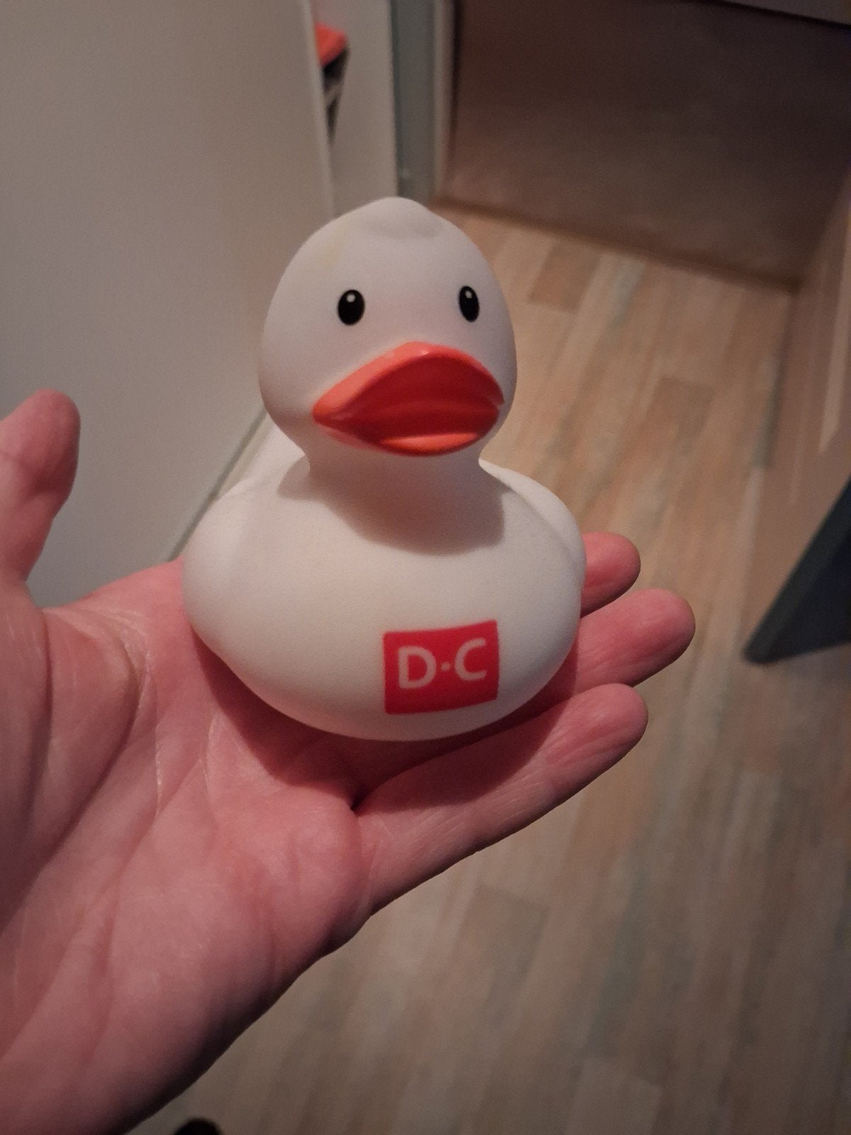 dc badeend, Ophalen of Verzenden, Overige thema's