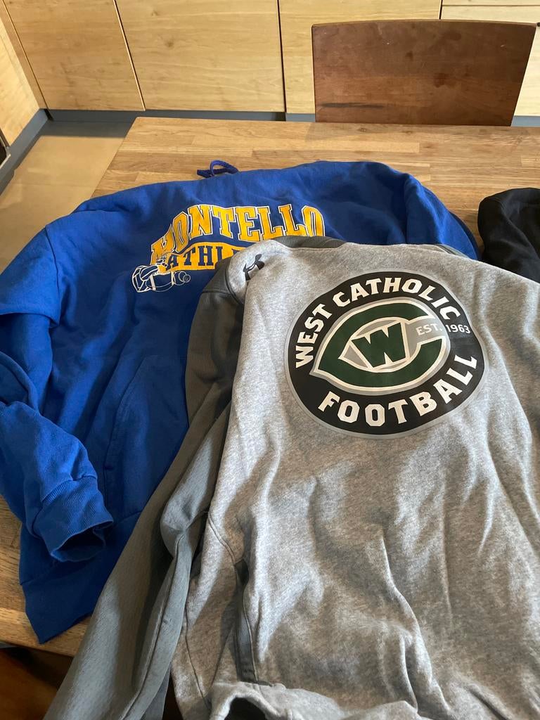Diverse hoodies en sweaters - Verschillende maten en kleuren, Ophalen of Verzenden, Gedragen, Overige maten, Overige kleuren