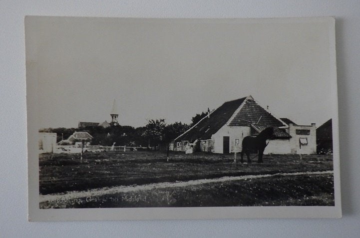 Terschelling Midsland kerk boerderij paard ongelopen, Ophalen, 1960 tot 1980, Ongelopen, Waddeneilanden