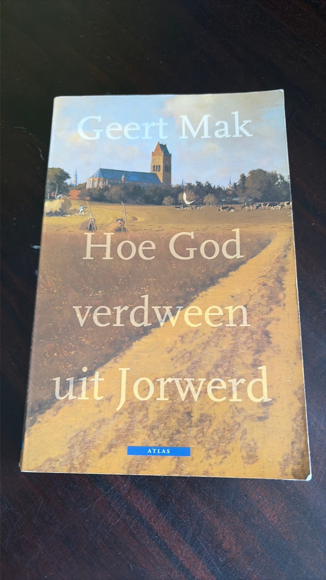 Hoe God verdween uit Jorwerd - Geert Mak, Boeken, Literatuur, Gelezen, Nederland, Geert Mak, Ophalen of Verzenden