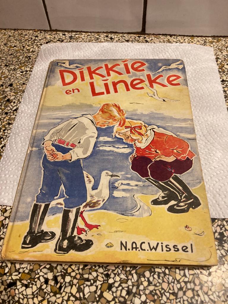Dikkie en Lineke, Ophalen of Verzenden, Fictie algemeen