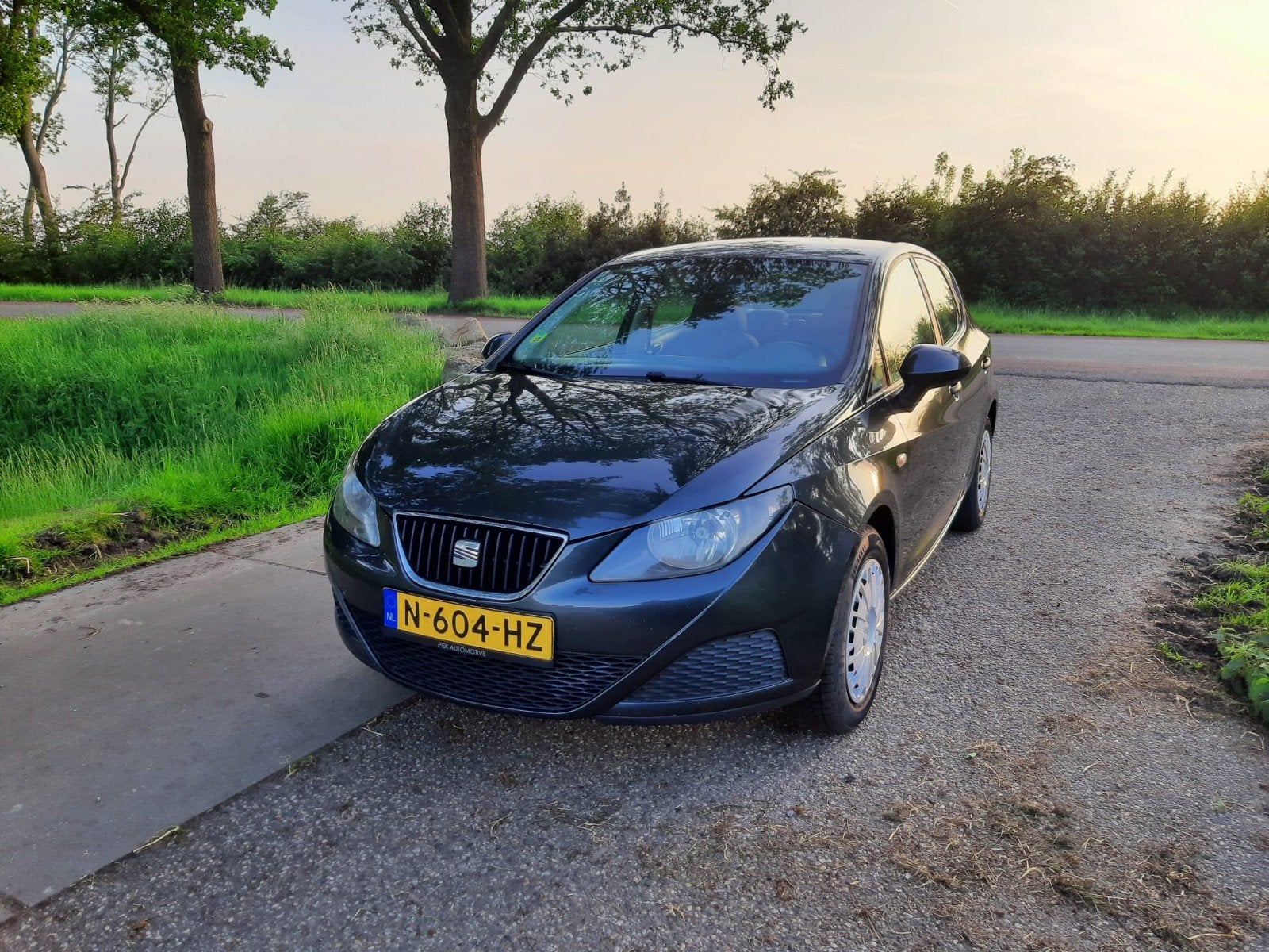 Seat Ibiza 1.4 63KW 5DRS 2009 Grijs, Auto's, Seat, Ibiza, Benzine, C, Hatchback, Handgeschakeld, Geïmporteerd, Zilver of Grijs
